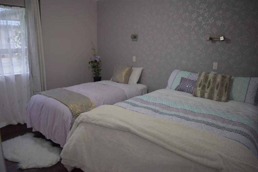 Kea Apartments Nelson Zewnętrze zdjęcie